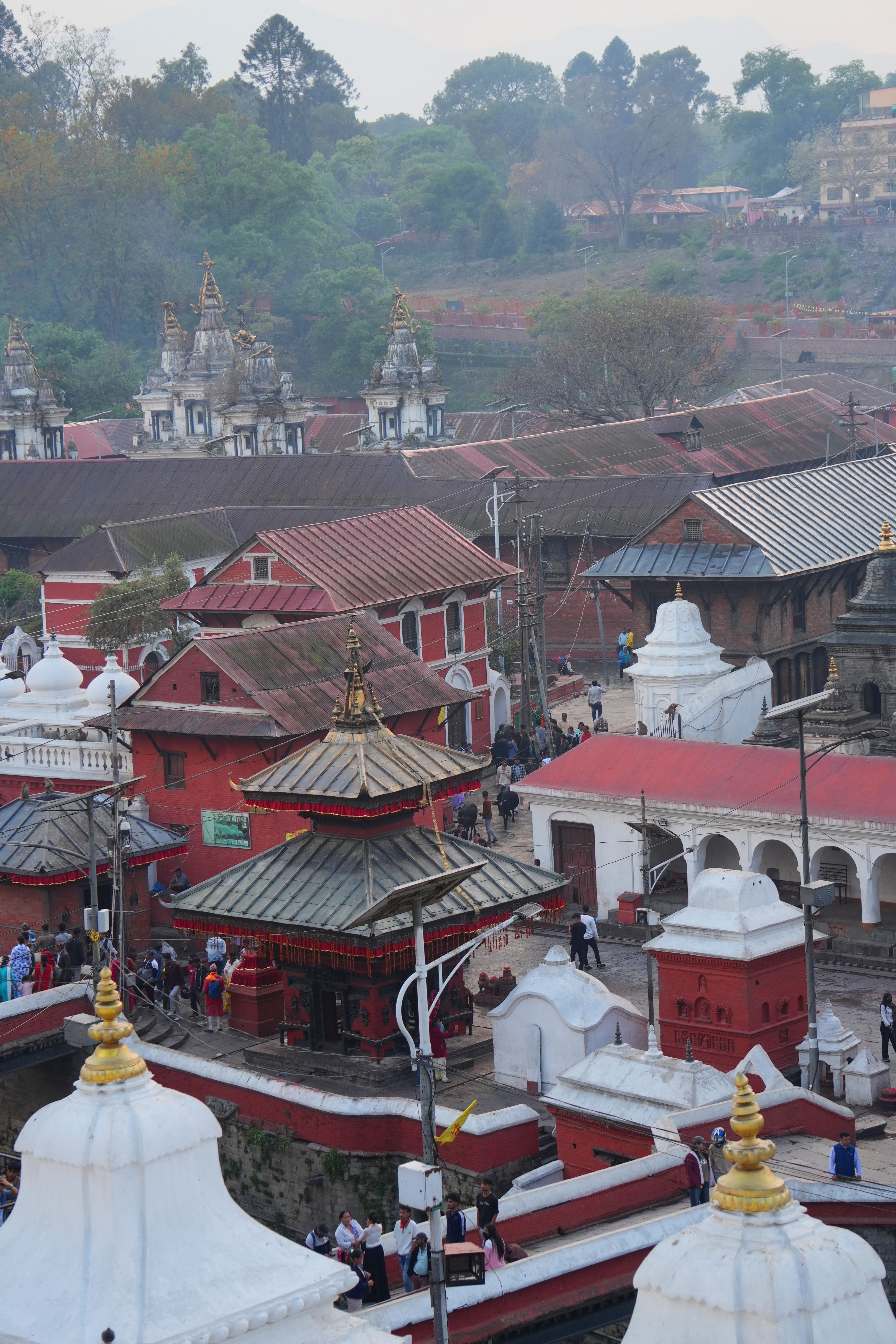 Pashupatinath Temple